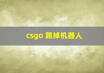 csgo 踢掉机器人